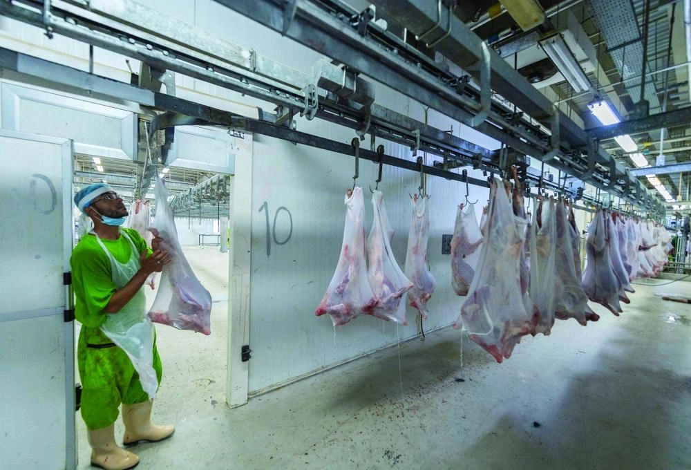 






ذبح 500 ألف أضحية خلال 24 ساعة في مشروع المملكة للإفادة من الهدي والأضاحي