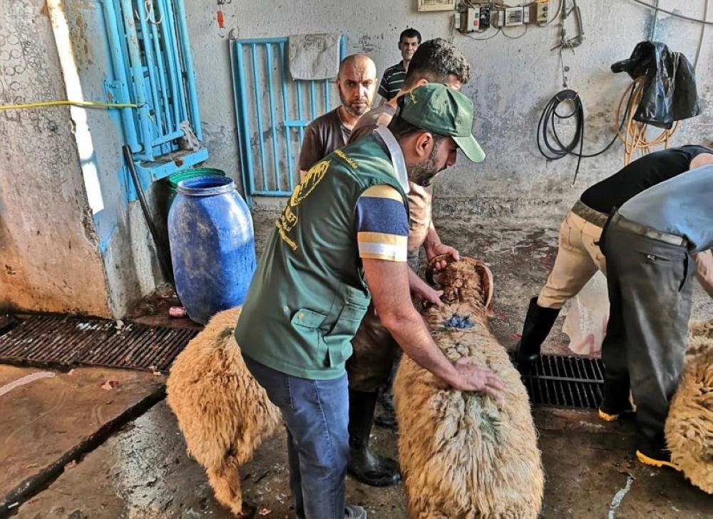 






فريق مركز الملك سلمان خلال ذبح الأضاحي