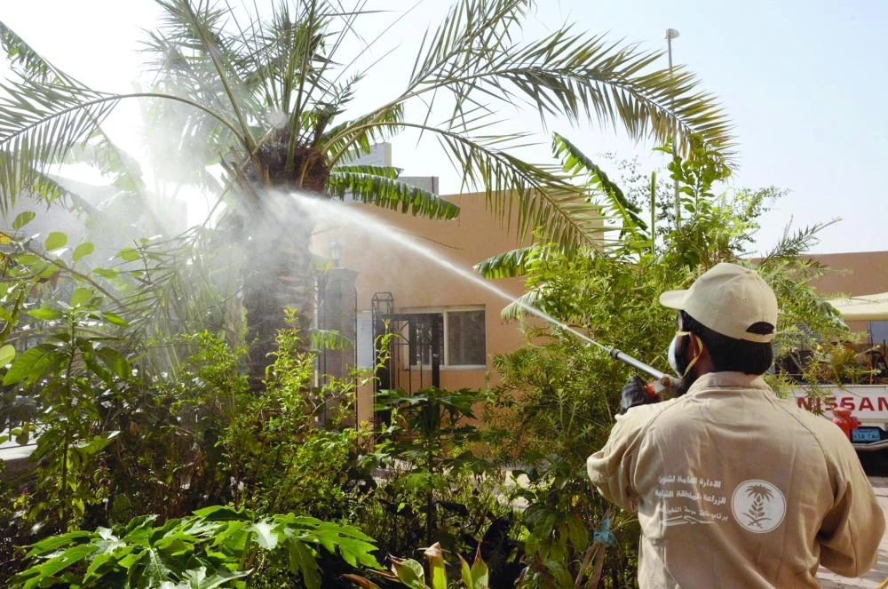 






من أعمال رش النخيل                                                              (مكة)