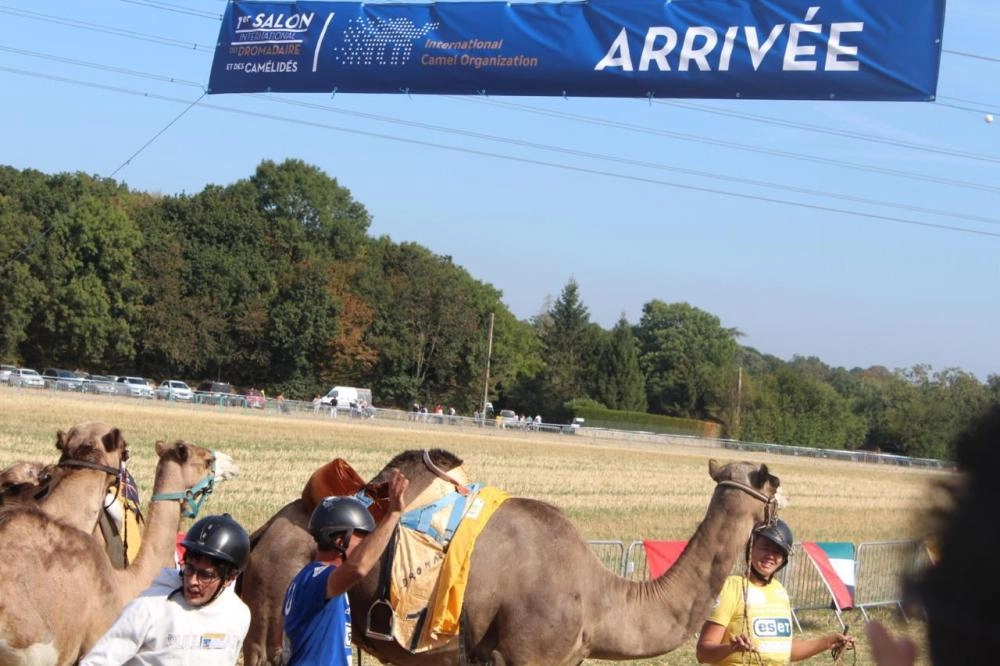 اختتام مهرجان أوروبا الدولي الأول للإبل