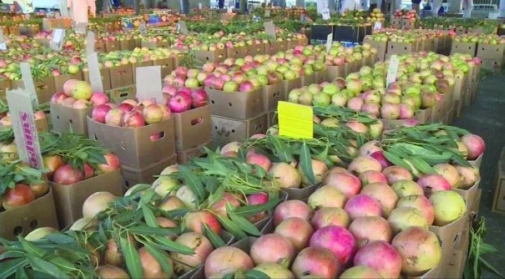 من الرمان اليمني (مكة)