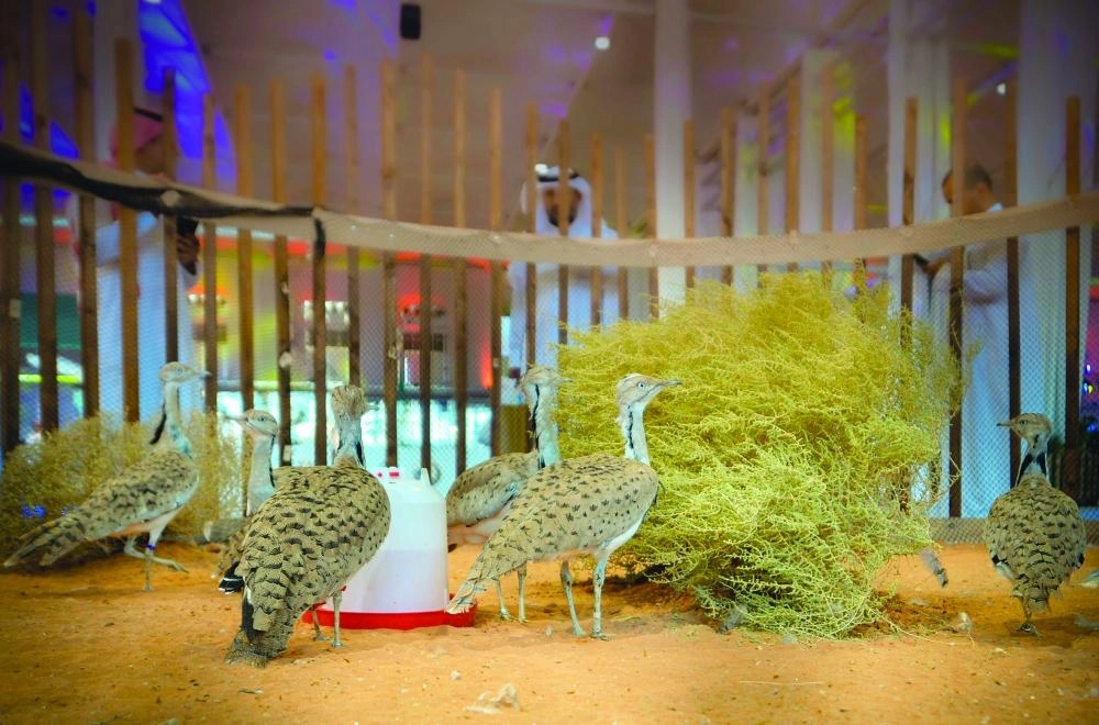 من معرض الصقور والصيد                     (مكة)