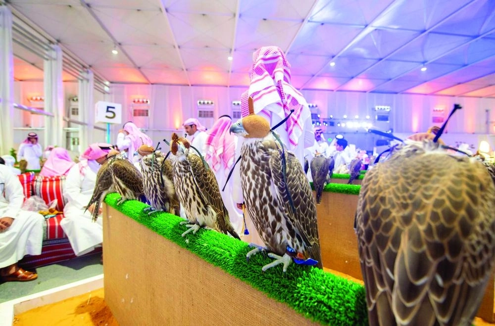 من معرض الصقور والصيد                     (مكة)