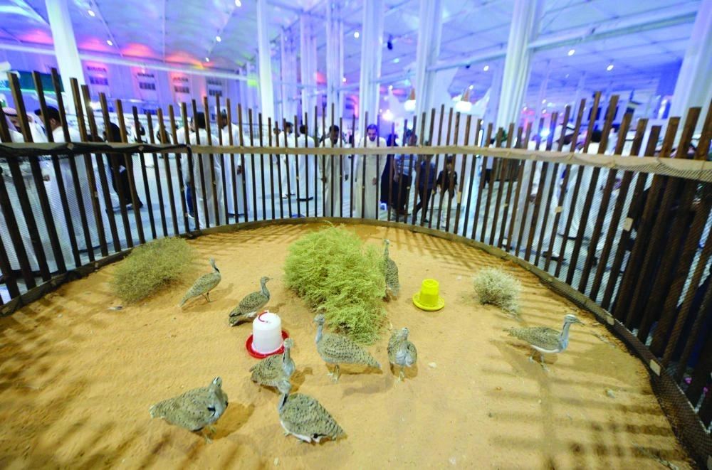 من معرض الصقور والصيد                     (مكة)