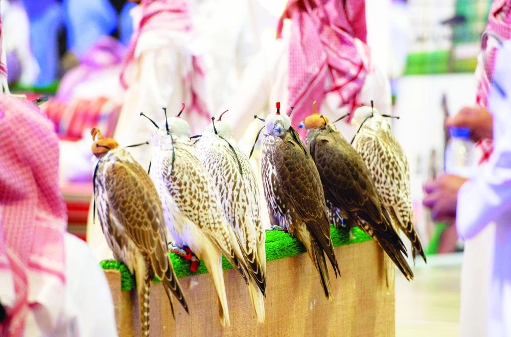 من معرض الصقور والصيد                     (مكة)