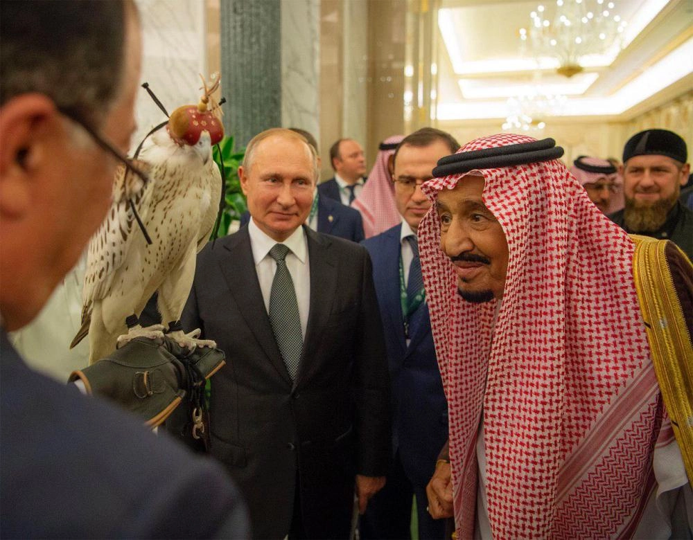 صقر حر أبيض هدية بوتين للملك سلمان (بندر الجلعود)