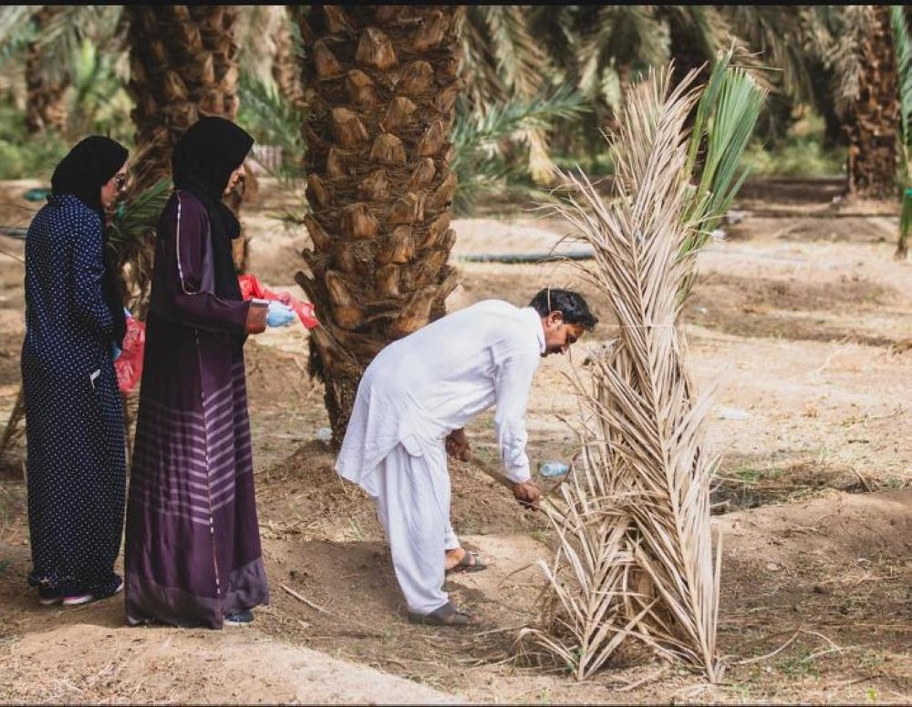 من فريق علماء النباتات من جامعة كاوست (كاوست)