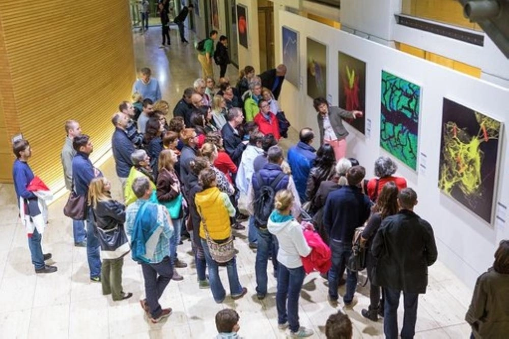 الأيام الثقافية الألمانية في مدينتي الرياض وجدة من 8 حتى 16 نوفمبر الحالي