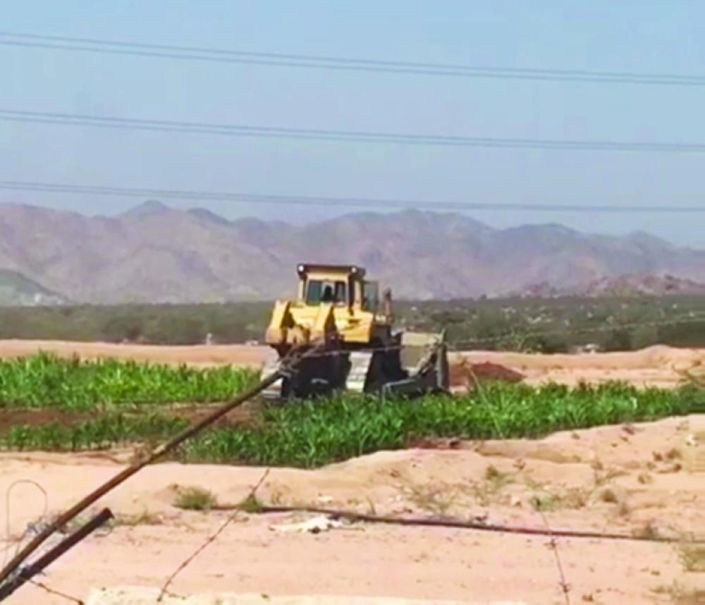 



من إزالة المزرعة العشوائية             (مكة)