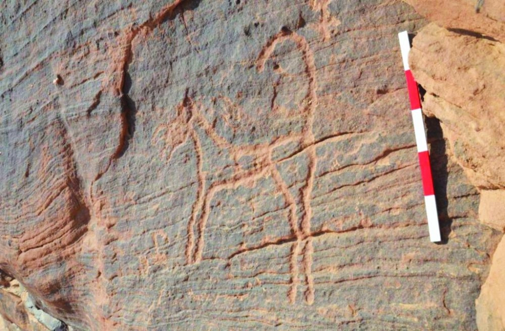 






من النقوش والرسومات التاريخية في العلا