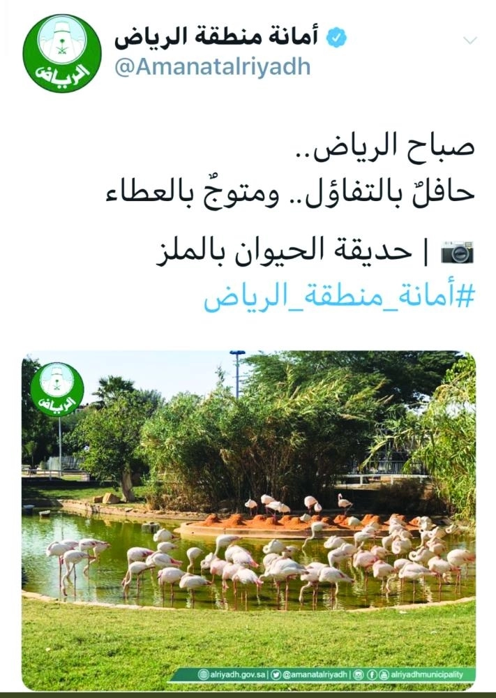 






تغريدة أمانة الرياض التي حذفتها سريعا     (مكة)