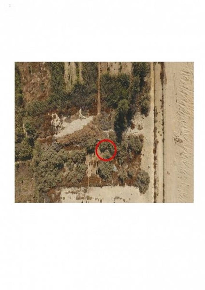 



مزرعة الصالحية التي أخفيت فيها جثة الجيراني