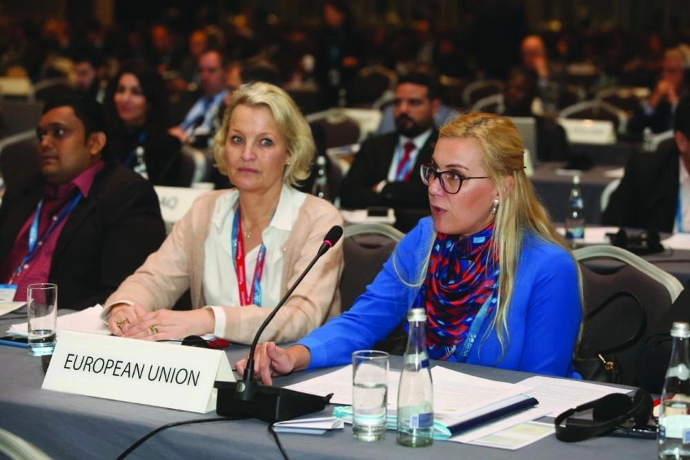 



ممثلو الاتحاد الأوروبي