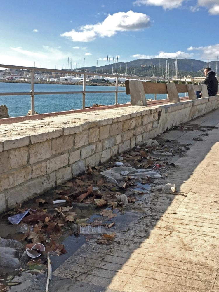 جزيرة مايوركا 