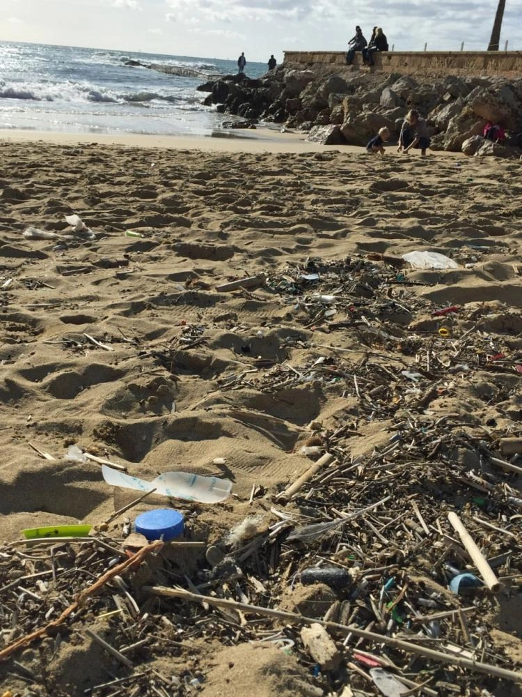 جزيرة مايوركا