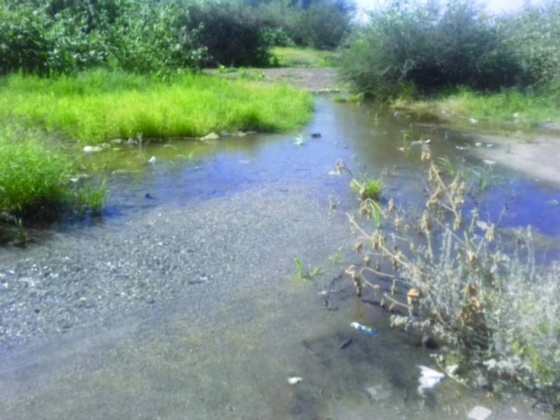 عين زبيدة كما بدت بعد الأمطار                                                           (مكة)