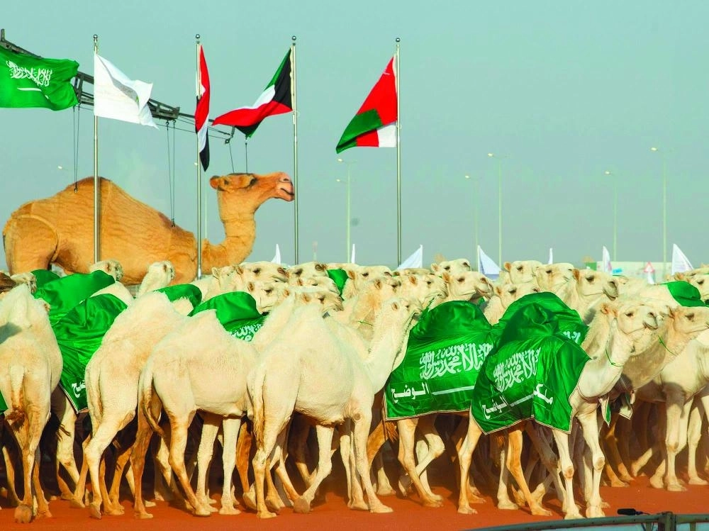 






جانب من المهرجان