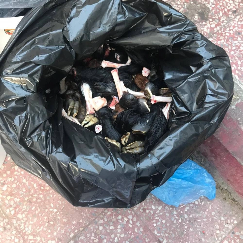  ذبح عشوائي (أمانة جدة)

