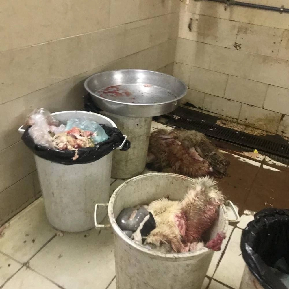 أحد المواقع المخالفة (أمانة جدة)

