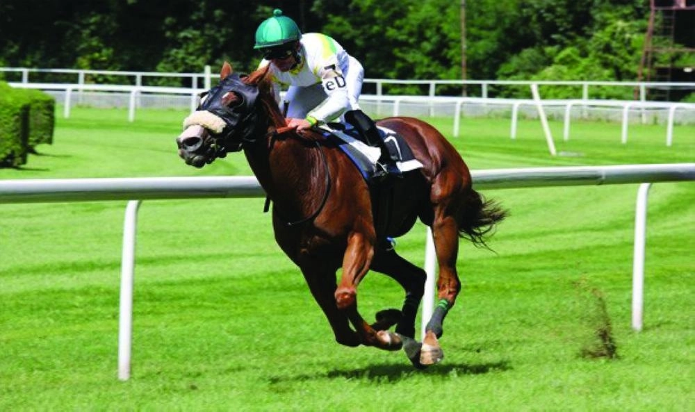 






منافسة عالمية منتظرة في الرياض