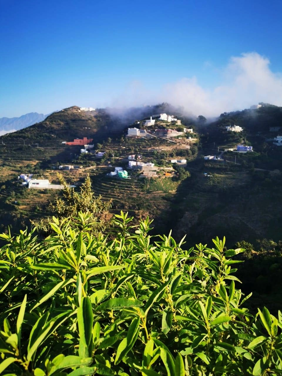 منطقة سكن عائلة القرادي في الجنوب