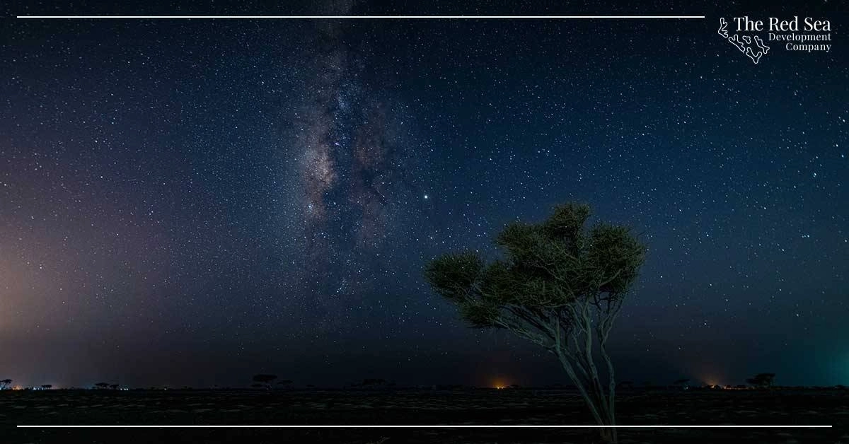 مشـروع البحر الأحمر