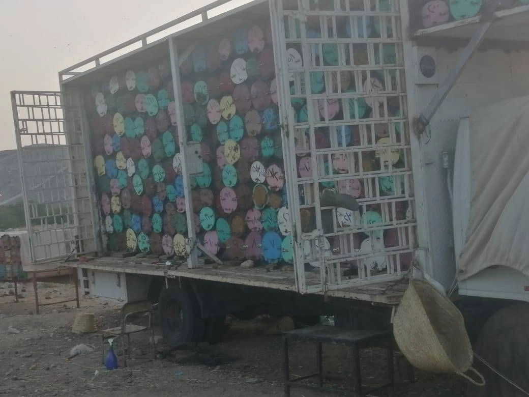 خلايا نحل في إحدى المركبات   (مكة)