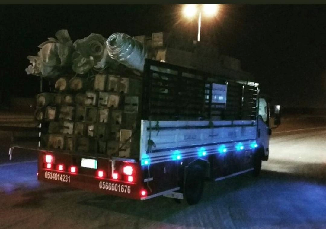 خلايا نحل في إحدى المركبات   (مكة)