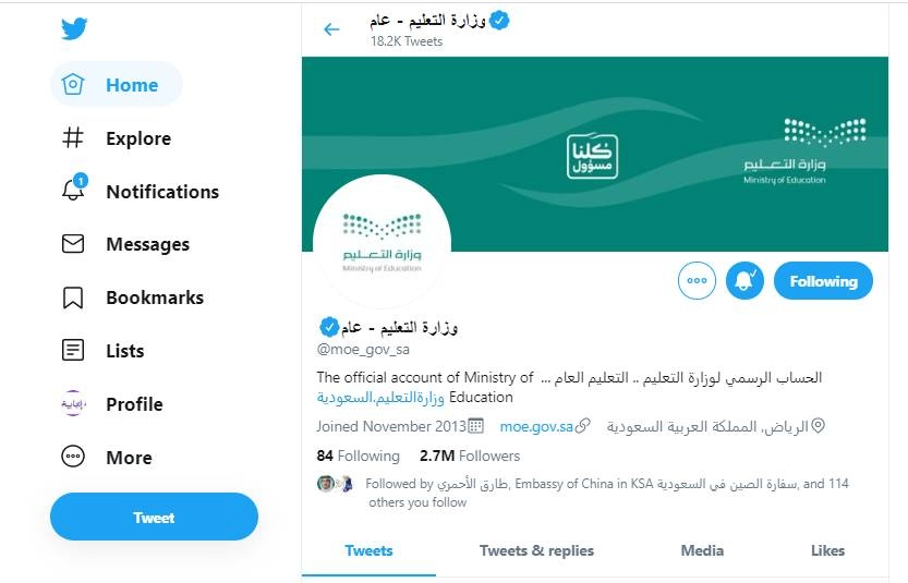 التعليم العام