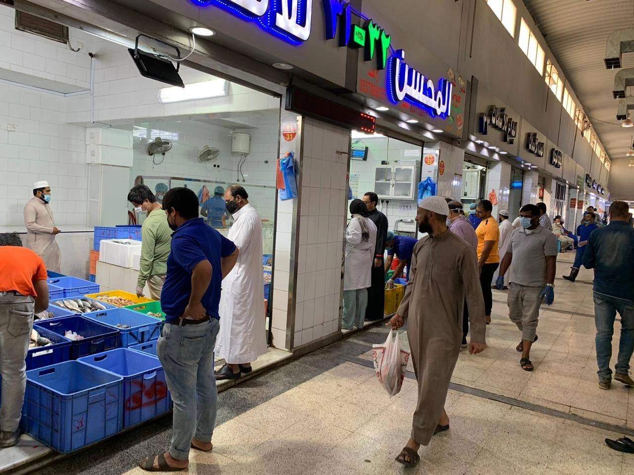 






متسوقون في حلقة السمك              (محمد جميل)