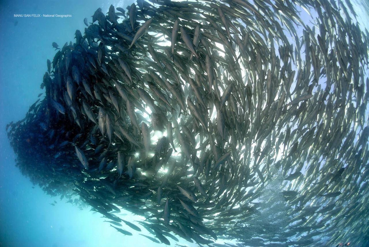 مانو سان فليكس _ ناشيونال جيوغرافيك