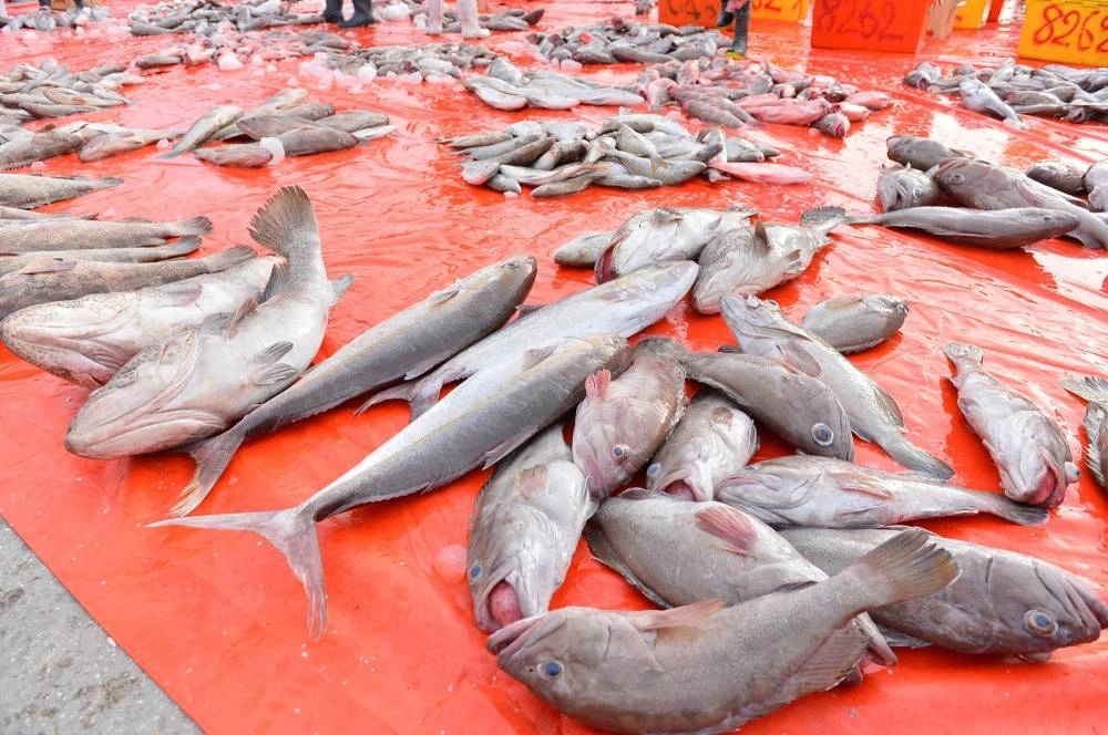 






من الأسماك المعروضة بالسوق              (مكة)