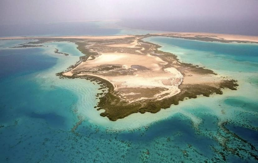 شركة البحر الأحمر 