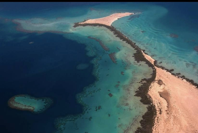 شركة البحر الأحمر للتطوير 