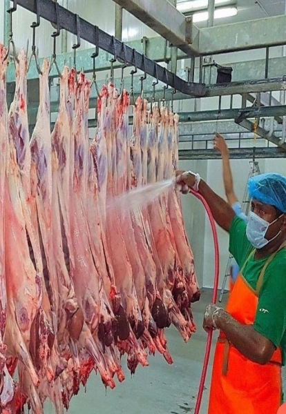 أمانة جدة تكثف جهودها الرقابية على أسواق النفع العام والمسالخ استعدادا لشهر رمضان