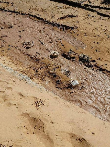 الدفاع المدني بجازان يبطل مفعول لغمين جرفتها سيول منقولة من الأراضي اليمنية (مكة)