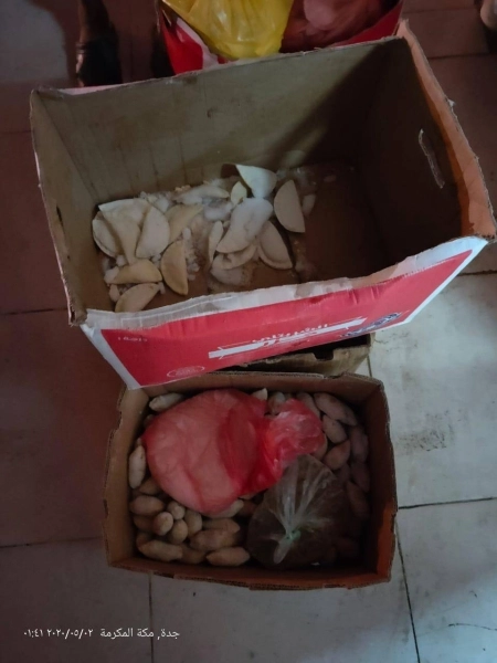 جانب من مداهمت بلدية الجنوب الفرعية موقعًا مجهولاً بحي العدل  ( مكة )
