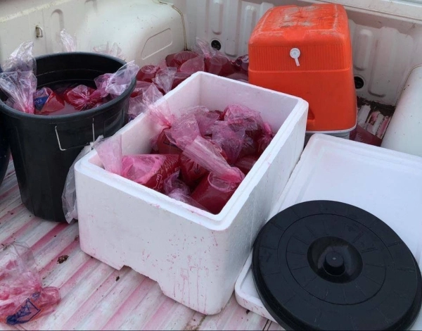 من مصادرة مشروب السوبيا    (مكة)