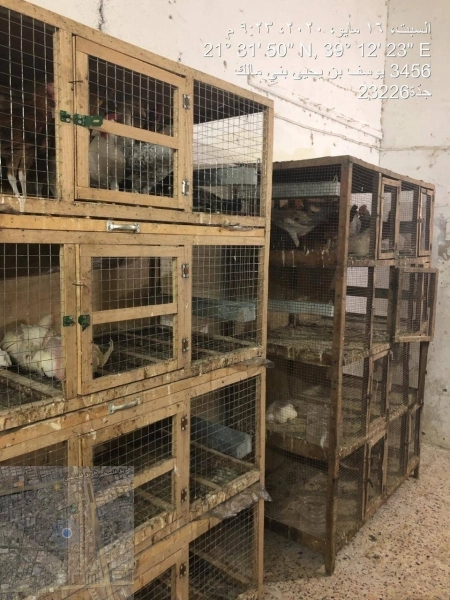 جانب من حملات البلدية (مكة)