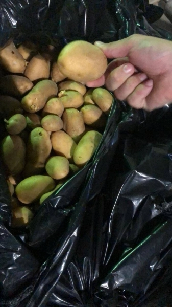 جانب من حملات البلدية (مكة)