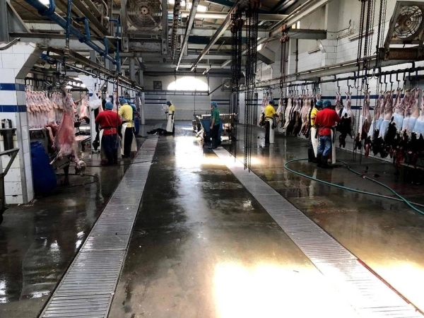 رقابة ميدانية على أحد مسالخ الشرقية للتأكد من سلامة المذبوحات.