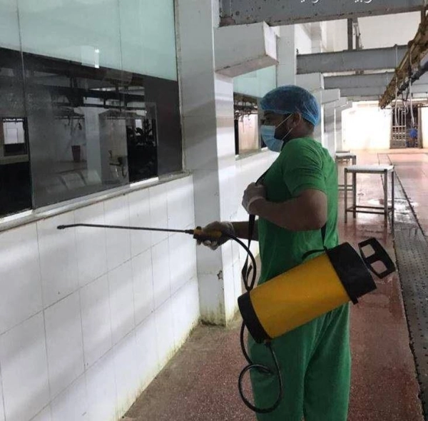 المسالخ (جدة)