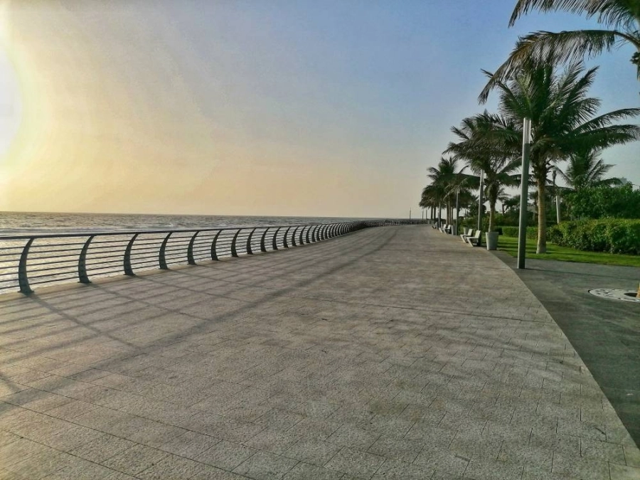 الواجهة البحرية خالية (أنس الحارثي)