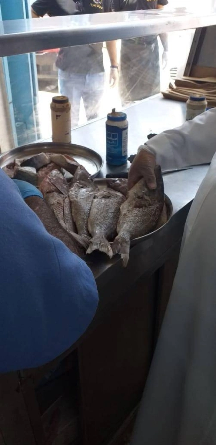 أمانة جدة تتلف 194 كجم من الأسماك الفاسدة 