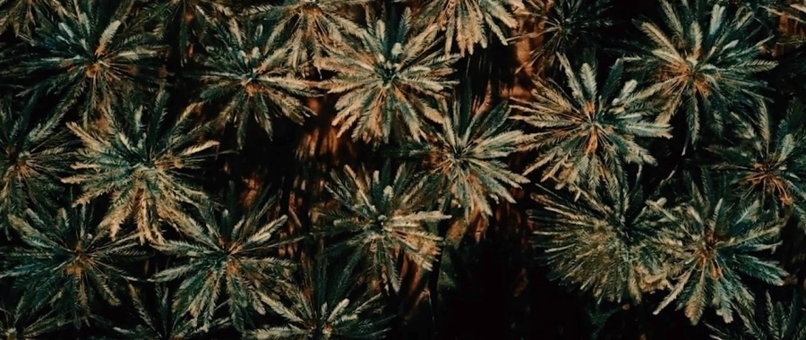 بعض المدن السياحية 2