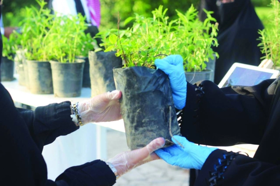 مشاركات في الحملة (مكة)