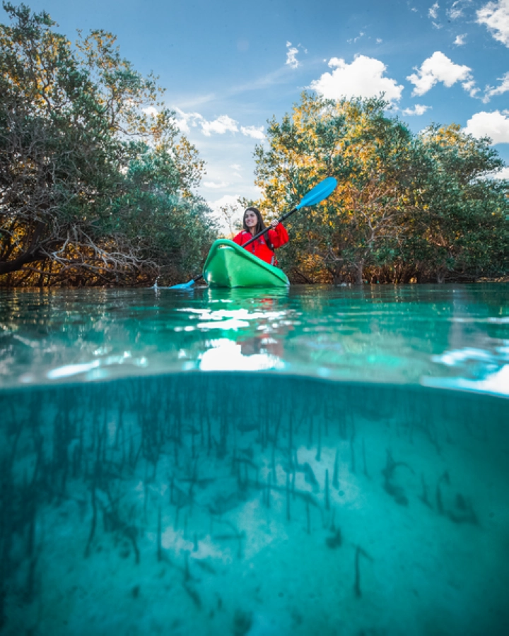 اكتشف أبوظبي