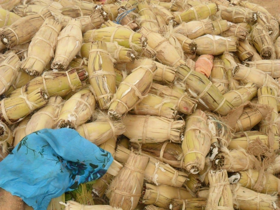 جانب من جهود رجال حرس الحدود 