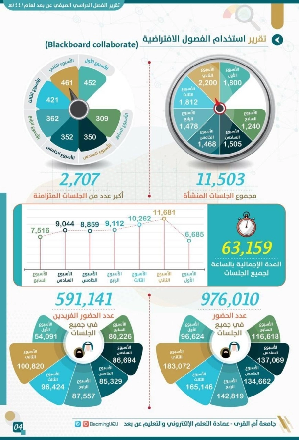 تقرير استخدام الفصول الافتراضية