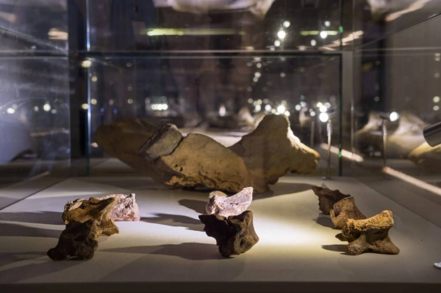 فؤوس حجرية من وادي فاطمة